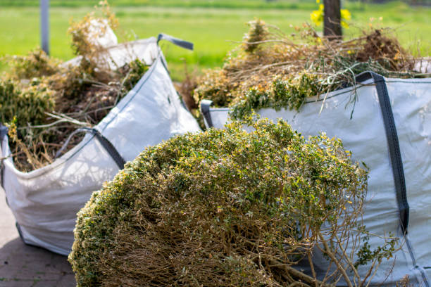 Best Moving and Downsizing Cleanouts  in Homer, AK